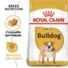 Royal Canin Bulldog Adult 12kg -Chien Fournitures Boutique fre pl Royal Canin Bulldog Adult 12kg 9130 1