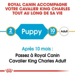 Royal Canin Cavalier King Charles Spaniel Puppy 1,5kg -Chien Fournitures Boutique fre pl Royal Canin Cavalier King Charles Spaniel Puppy 1 5kg 9177 8
