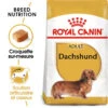 Royal Canin Dachshund Adult 7,5kg -Chien Fournitures Boutique fre pl Royal Canin Dachshund Adult 7 5kg 9149 1