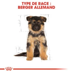 Royal Canin German Shepherd Puppy 12kg -Chien Fournitures Boutique fre pl Royal Canin German Shepherd Puppy 12kg 9200 4