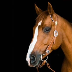 TickLess Cheval Sans Tique - Marron -Chien Fournitures Boutique fre pl TickLess Cheval sans tique marron 26621 3