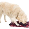 Trixie Jeu D'activité Sniffing Carpet 50x34cm -Chien Fournitures Boutique fre pl Trixie Jeu dactivite Sniffing Carpet 50x34cm 11554 1