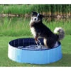 Trixie Piscine Pour Chien 160x30cm -Chien Fournitures Boutique fre pl Trixie Piscine pour chien 160x30cm 16388 1
