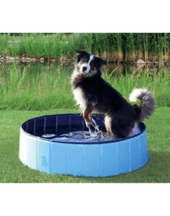 Trixie Piscine Pour Chien 160x30cm