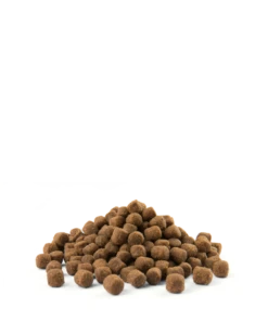 Versele-Laga Opti Life Adulte Light Mini Avec Poulet Et Riz 2.5kg -Chien Fournitures Boutique fre pl Versele Laga Opti Life Adulte Light Mini avec poulet et riz 2 5kg 17014 3