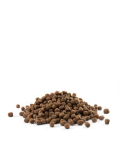 Versele-Laga Opti Life Puppy Mini Pour Petites Races Poulet Et Riz 7,5kg 7 Versele-Laga Opti Life Puppy Mini Pour Petites Races Poulet Et Riz 7,5kg -Chien Fournitures Boutique fre pl Versele Laga Opti Life Puppy Mini pour petites races Poulet et Riz 7 5kg 15493 3