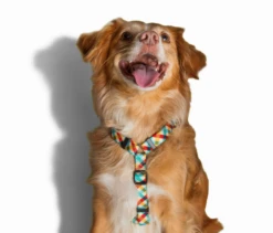 ZEE DOG PHANTOM Harnais Pour Chien M -Chien Fournitures Boutique fre pl ZEE DOG PHANTOM Harnais pour chien M 13347 2