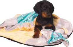 ZOLUX Jouet CHIQUITOS - Paresseux - Doudou -Chien Fournitures Boutique fre pl ZOLUX Jouet CHIQUITOS Paresseux Doudou 28849 3