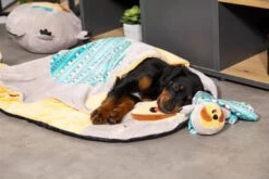 ZOLUX Jouet CHIQUITOS - Paresseux - Doudou -Chien Fournitures Boutique fre pl ZOLUX Jouet CHIQUITOS Paresseux Doudou 28849 4